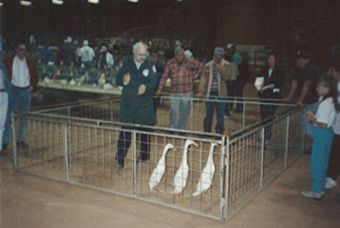 Runner Judging Runner Judging